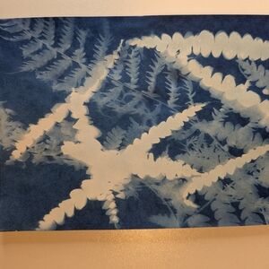 Fern Cyanotype Made In Taipei, Taiwan 5x7